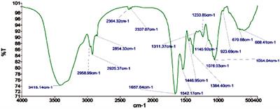 Bacteria assisted green synthesis of copper oxide nanoparticles and their potential applications as antimicrobial agents and plant growth stimulants